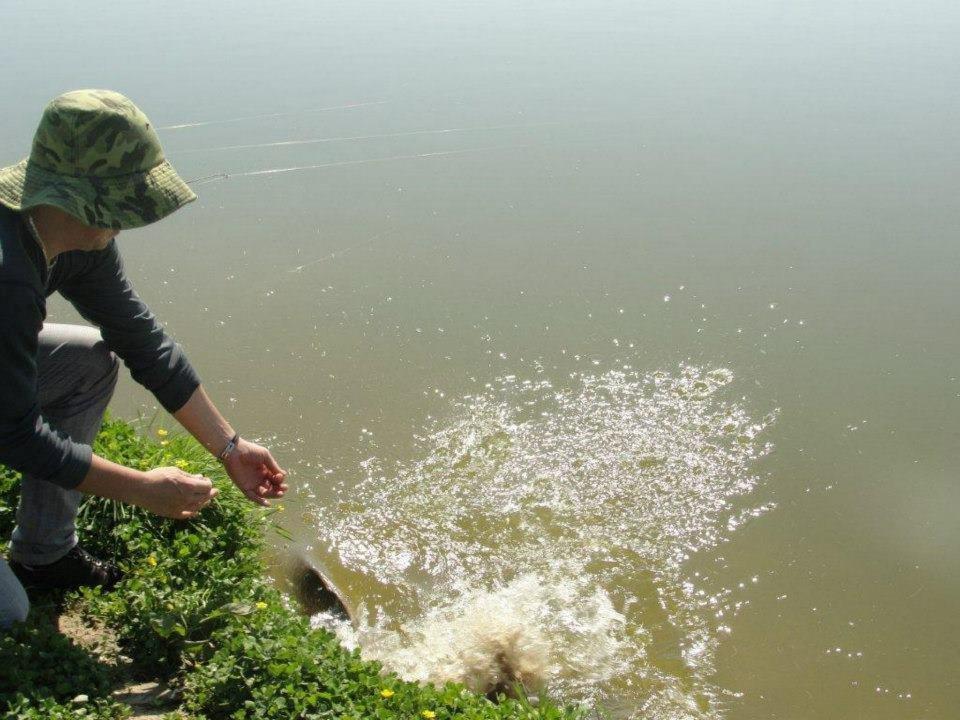 peanut - 556363361594197252589724838424n.jpg